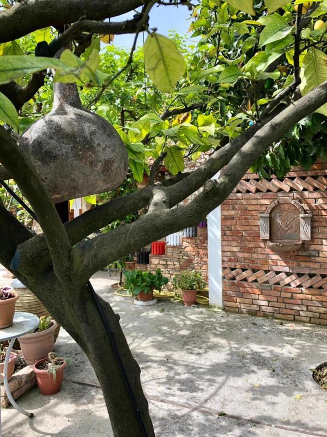 Villa Muzhaqi Nivice Exteriör bild